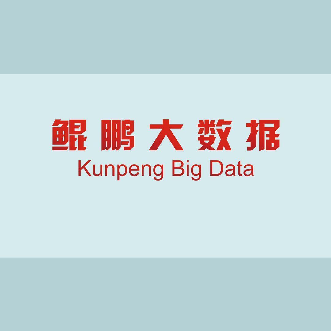北京鲲鹏大数据服务有限公司