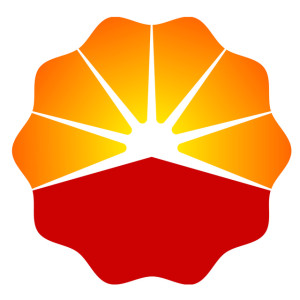中国石油技术开发有限公司