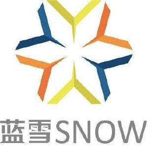 西安蓝雪信息技术有限公司