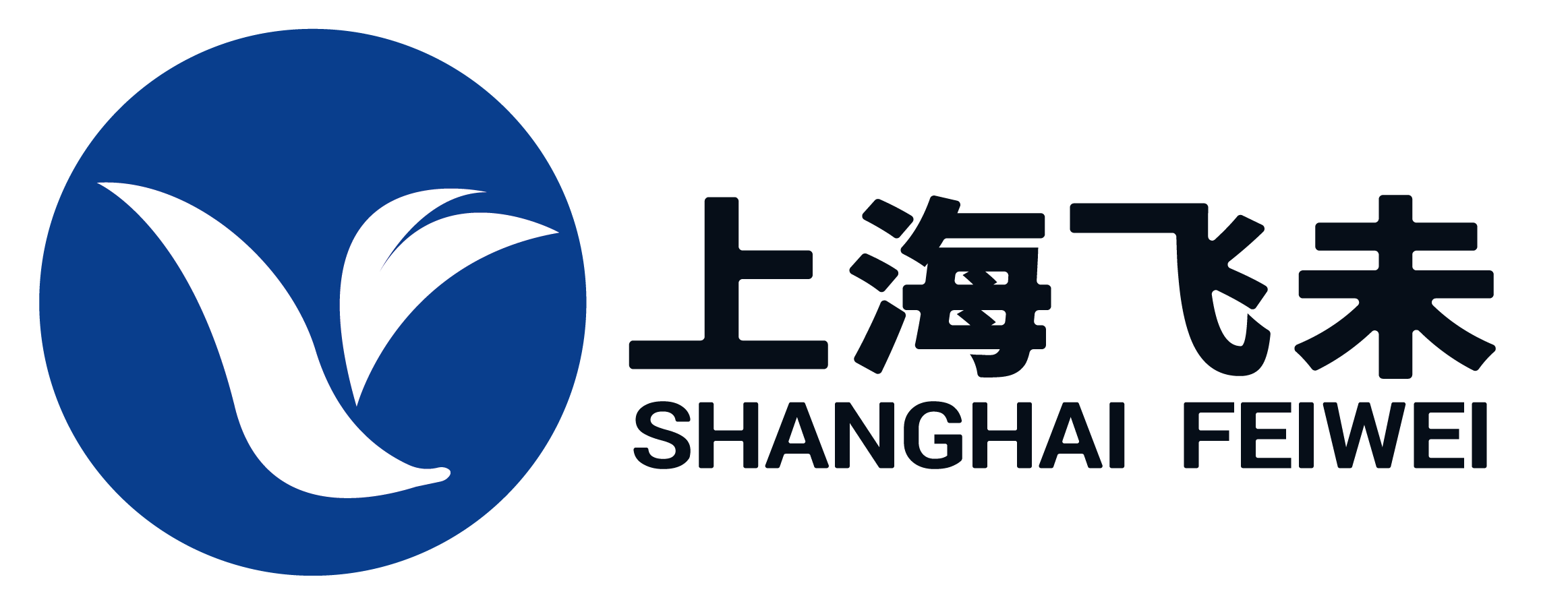 上海飞未信息技术有限公司