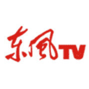 湖北东风电视文化传媒有限公司