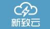 上海新致软件股份有限公司
