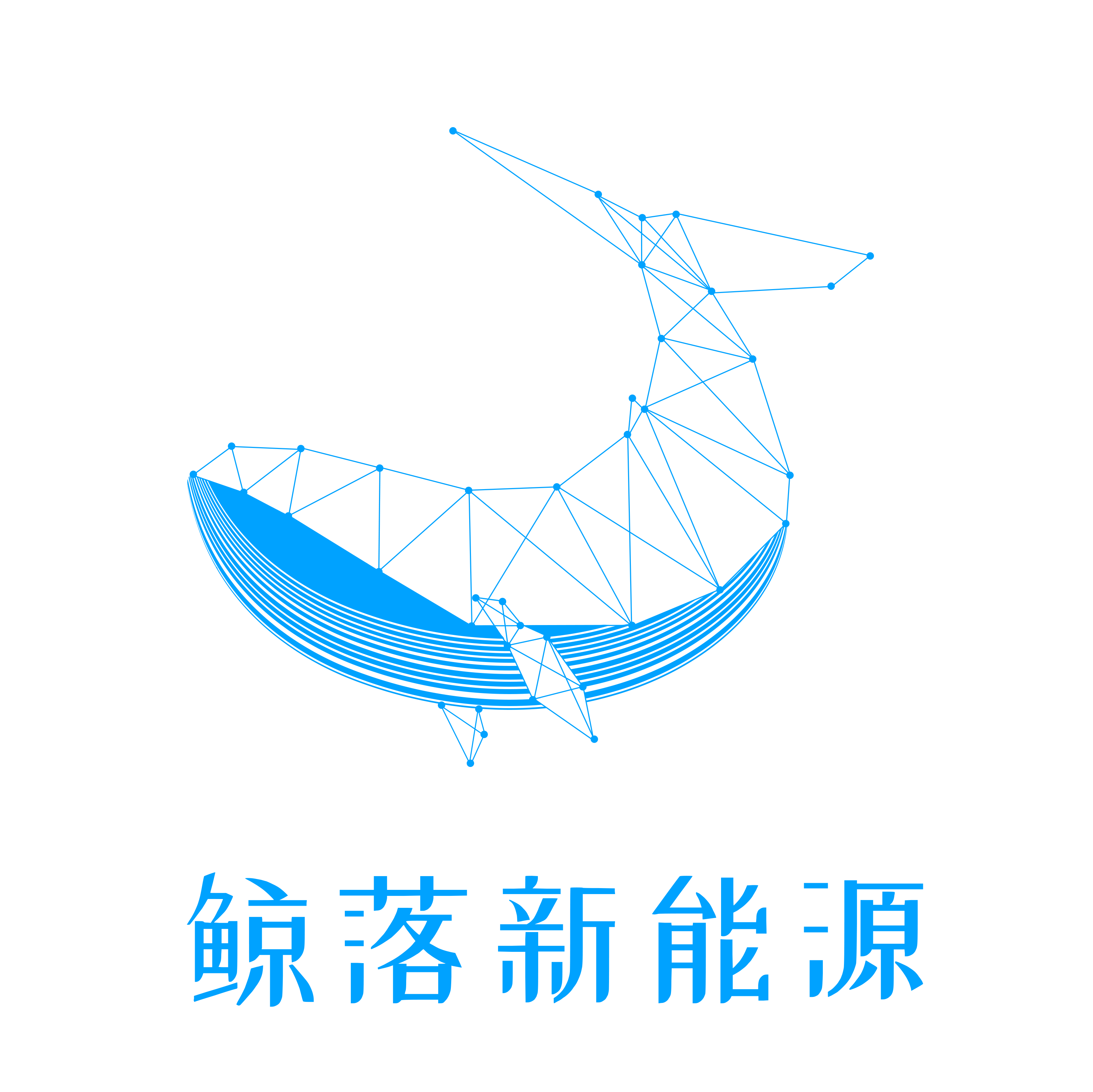 鲸落（北京）新能源有限公司