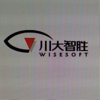 四川川大智胜软件股份有限公司