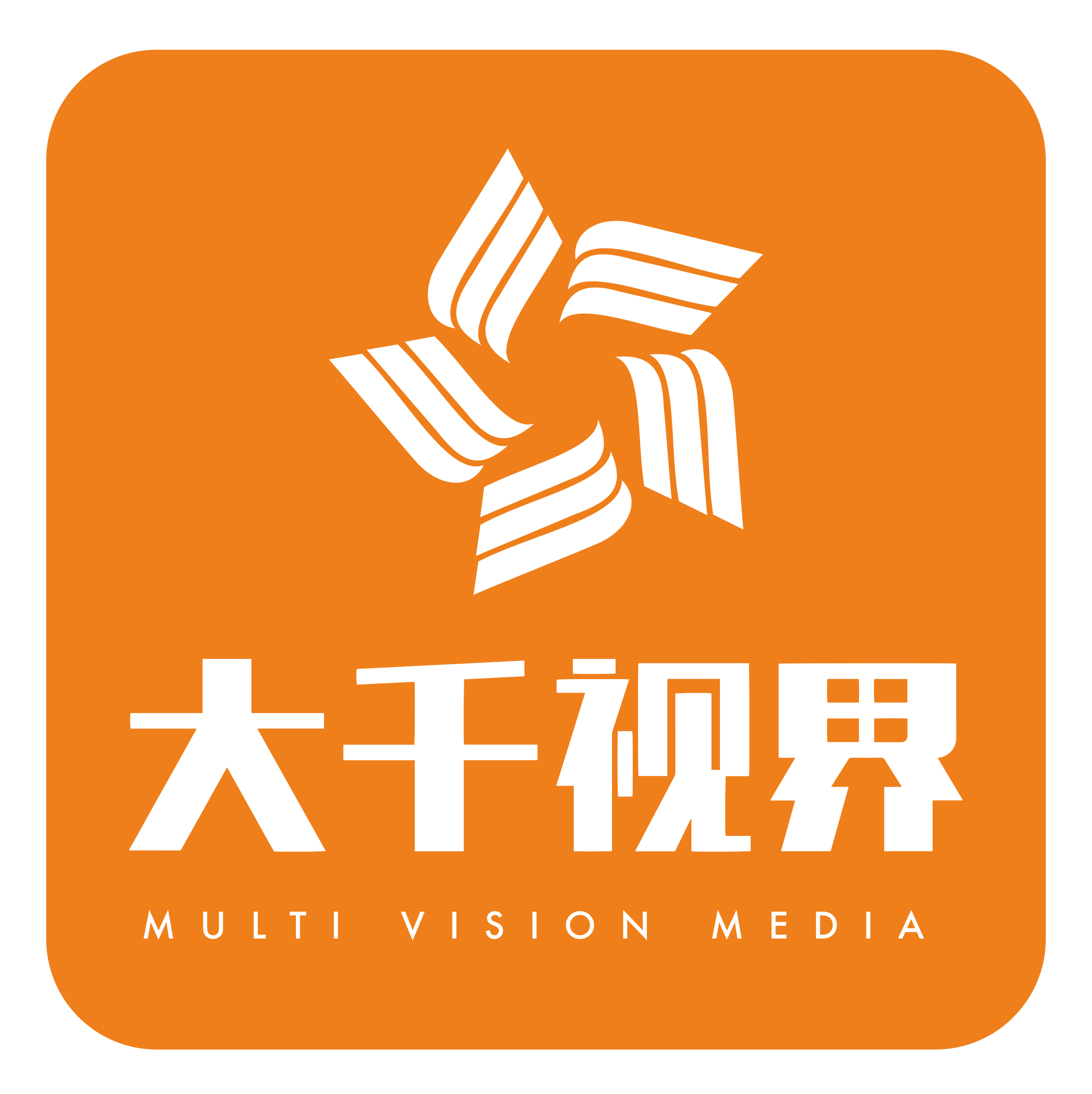 大千视界(深圳)文化传媒有限公司