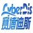 北京赛博迪斯软件技术有限公司