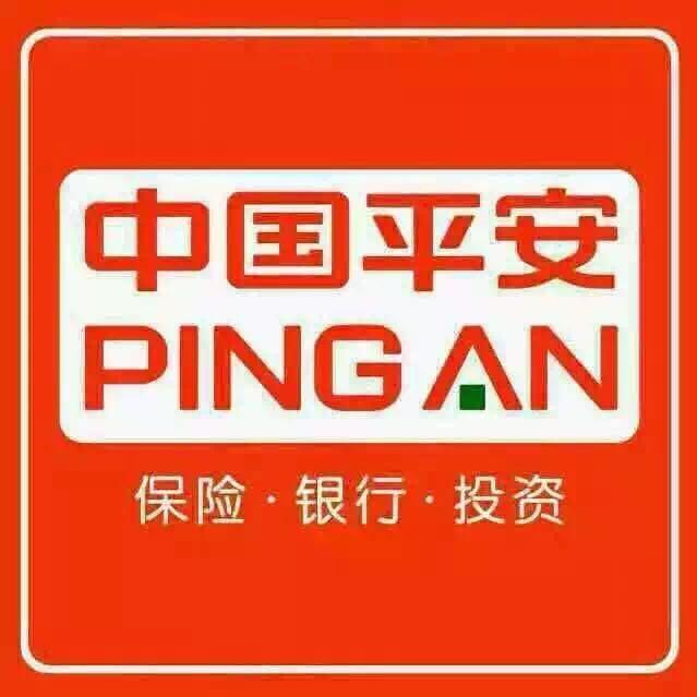 平安普惠信息服务有限公司天津南京路分公司