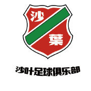南京沙叶足球俱乐部有限公司