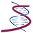 苏州圣因生物医药有限公司