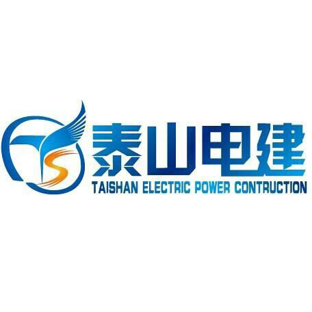 泰山电建集团有限公司