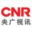 央广视讯传媒（上海）有限公司